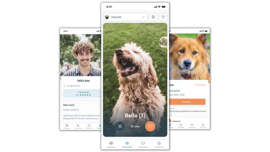 Patzo App: Tinder mit Hunden