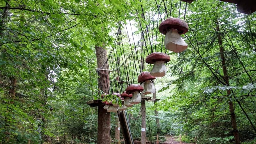 Kletterwald München walderlebniszentrum grünwald