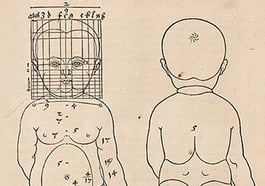 Berechnete Schönheit: Albrecht Dürers ‚Follower‘