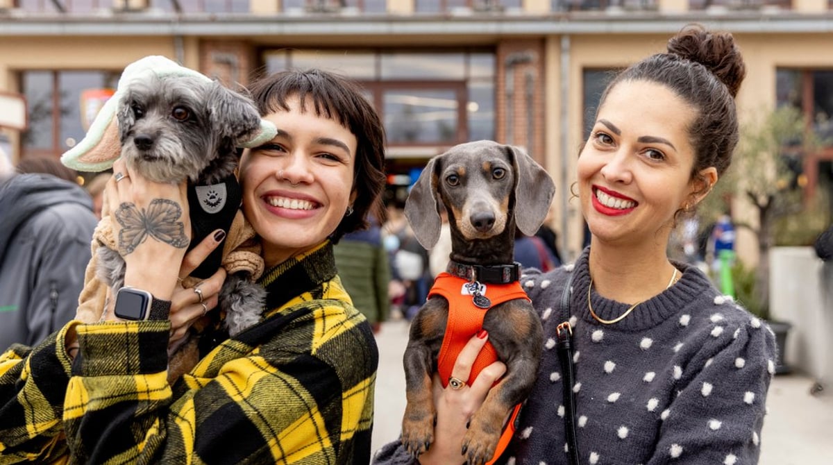 DogWorld & DackelRace am 17./18.10. in der Motorworld