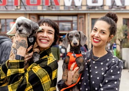 DogWorld & DackelRace