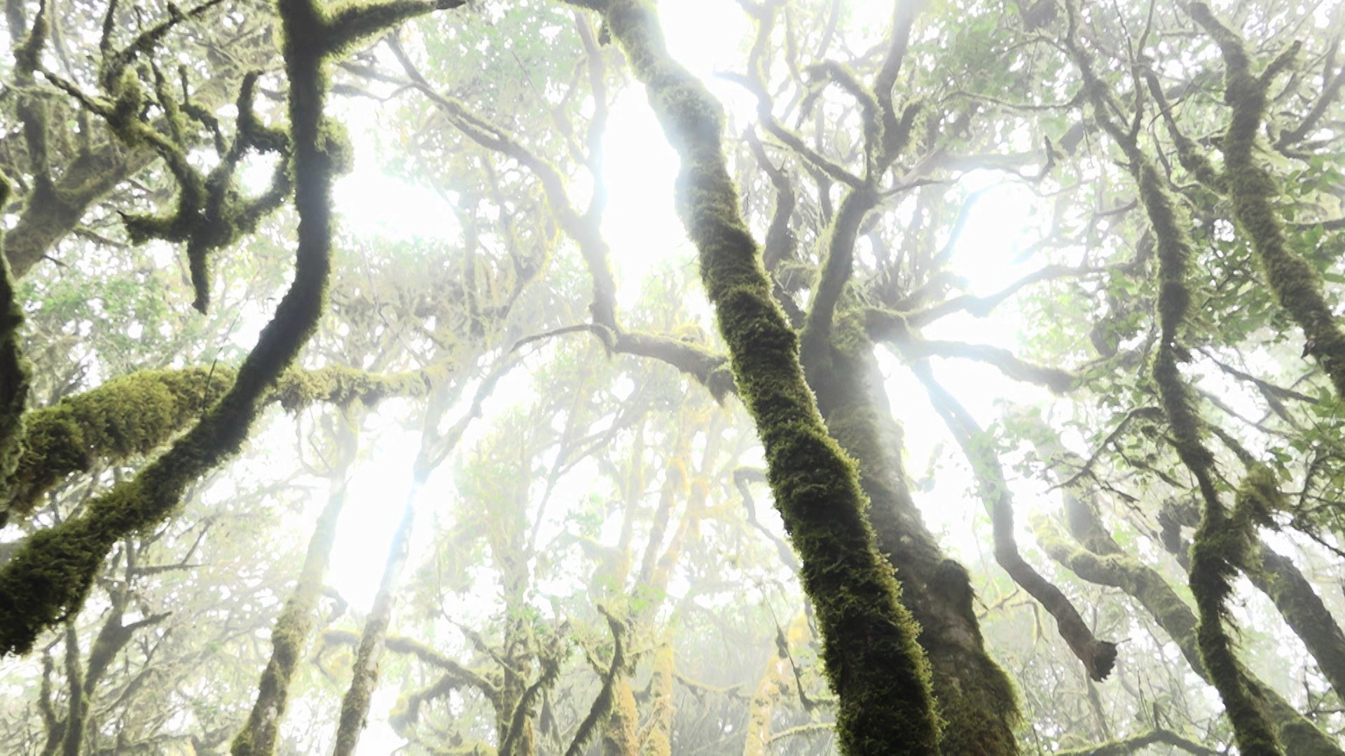 Bilder aus While The Green Grass Grows (Parts 1+6)