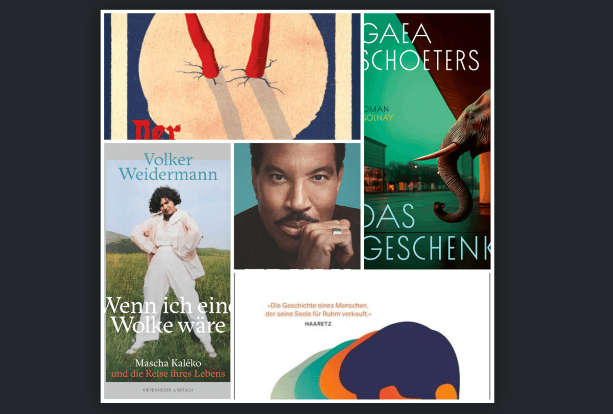 Lesen! Unsere Buchempfehlungen im Dezember
