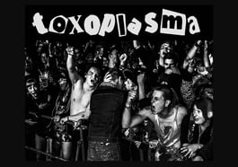 Toxoplasma