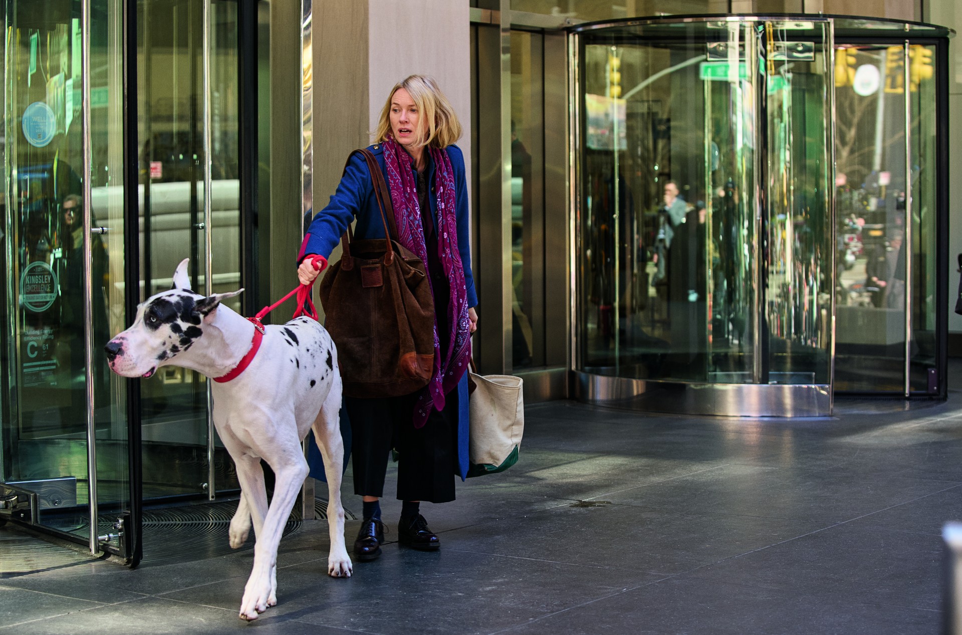 Bilder aus Loyal Friend