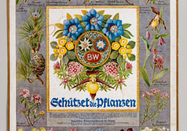 125 Jahre Verein zum Schutz der Bergwelt (VzSB)