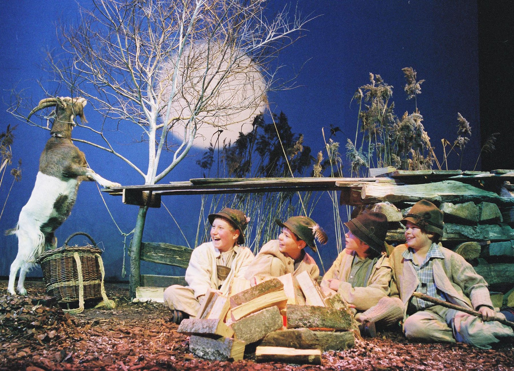 Ein Stern ist aufgegangen