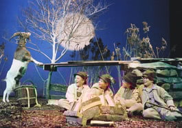 Ein Stern ist aufgegangen