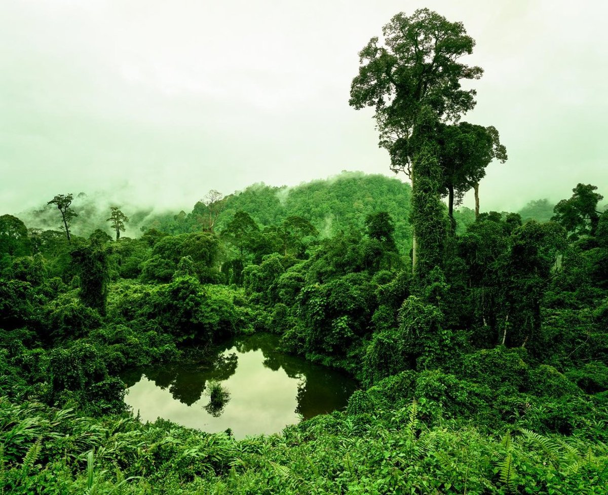 Earth Matters