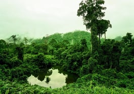 Earth Matters