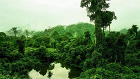 Earth Matters