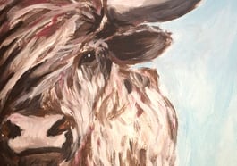 breakfast artparty *freaky highlandcattle