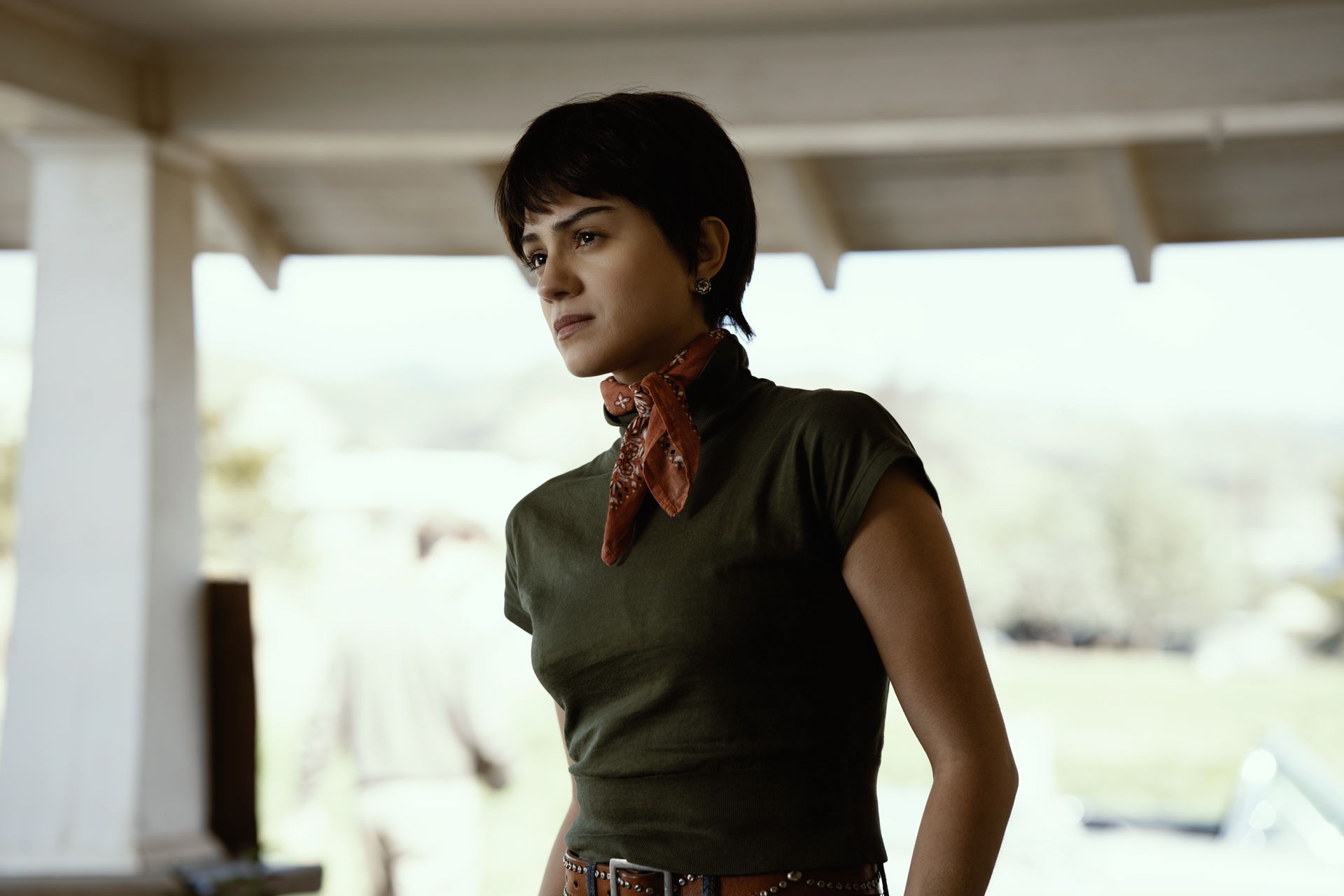 Bilder aus On Swift Horses