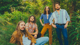 The Sheepdogs