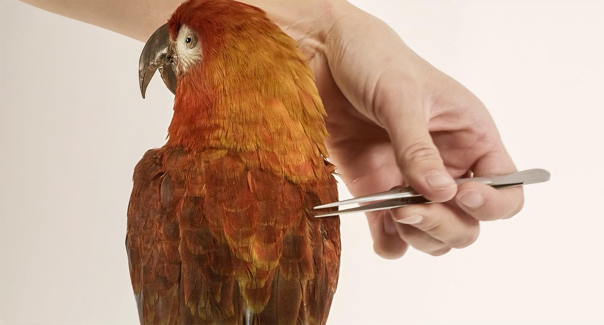 Bilder aus Archiv der Zukunft