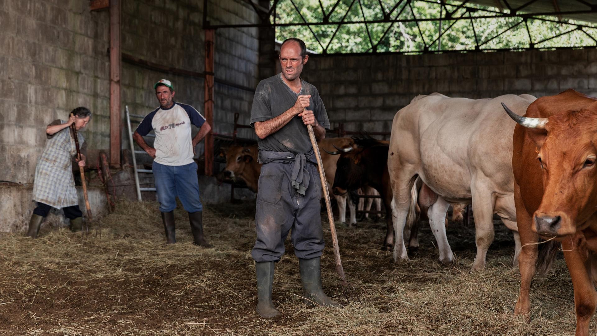 Bilder aus Wie wilde Tiere