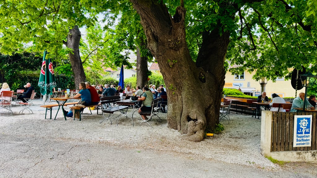Outdoor beer garden under leafy trees with people seated at wooden tables and green umbrellas
