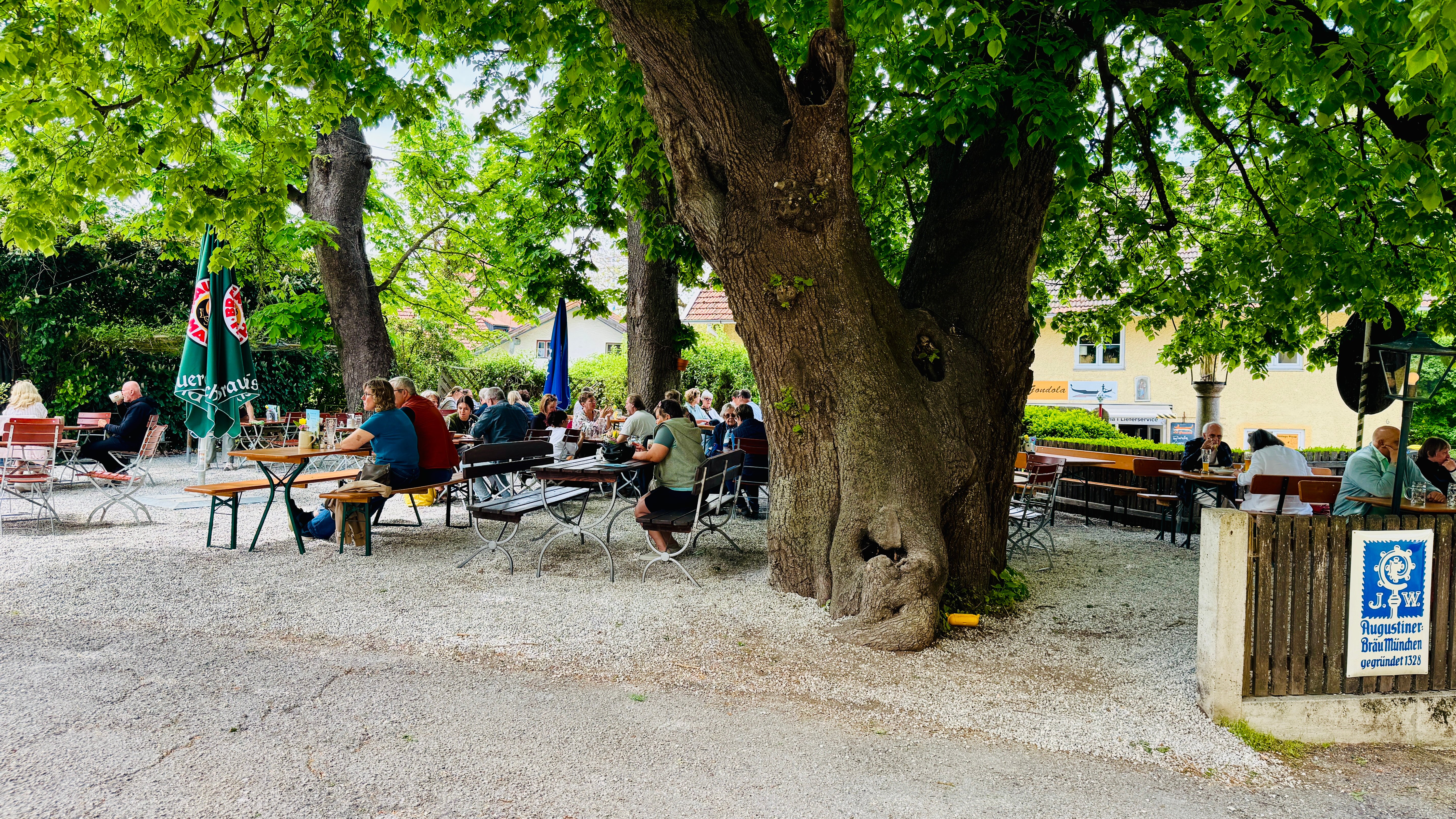Biergarten mit Holztischen unter großen Kastanienbäumen, Gäste sitzen im Schatten