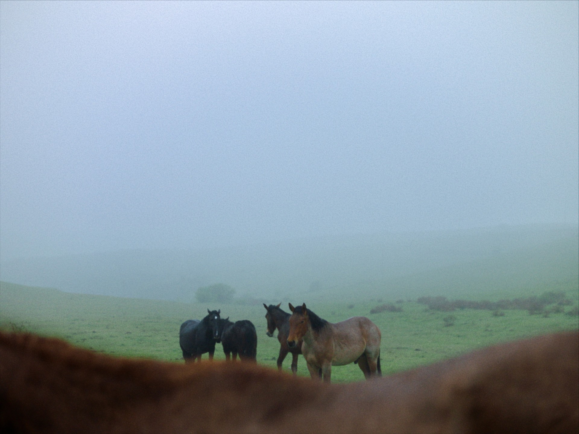 Bilder aus Stille Beobachter