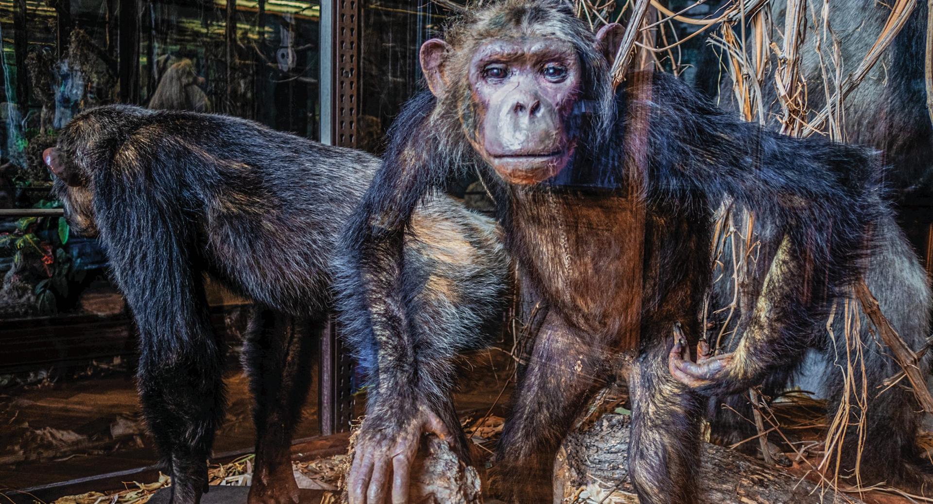 Bilder aus Archiv der Zukunft