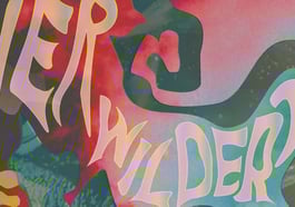 turtle Kollektiv. „Verwildert“