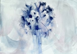 Look at me – I am Nature