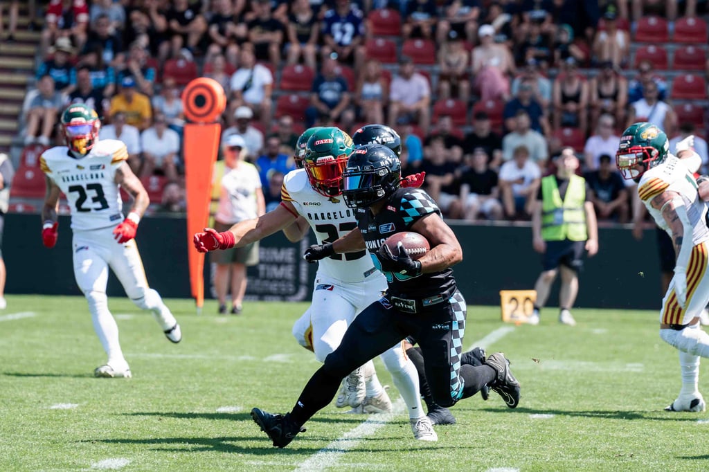 Munich Ravens