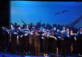 Konferenz der Vögel