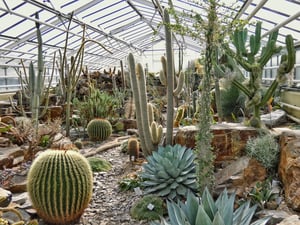Botanischer Garten