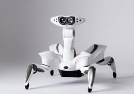 Robotic Worlds