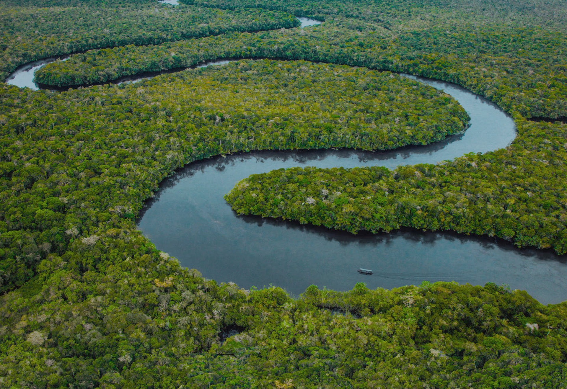 Bilder aus Das Tiefste Blau