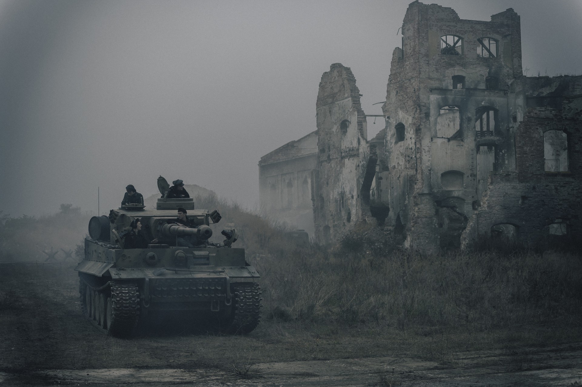 Bilder aus Der Tiger