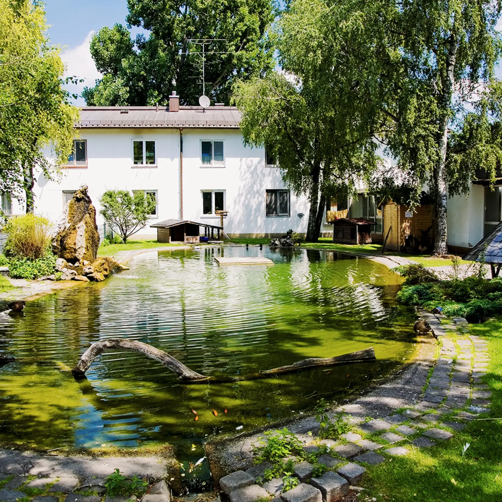 Tierheim München