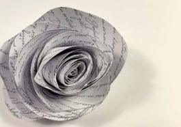 Die weiße Rose: Inspiration für junge Poesie