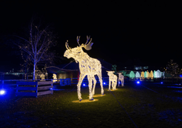 Lumagica – Lichterpark München