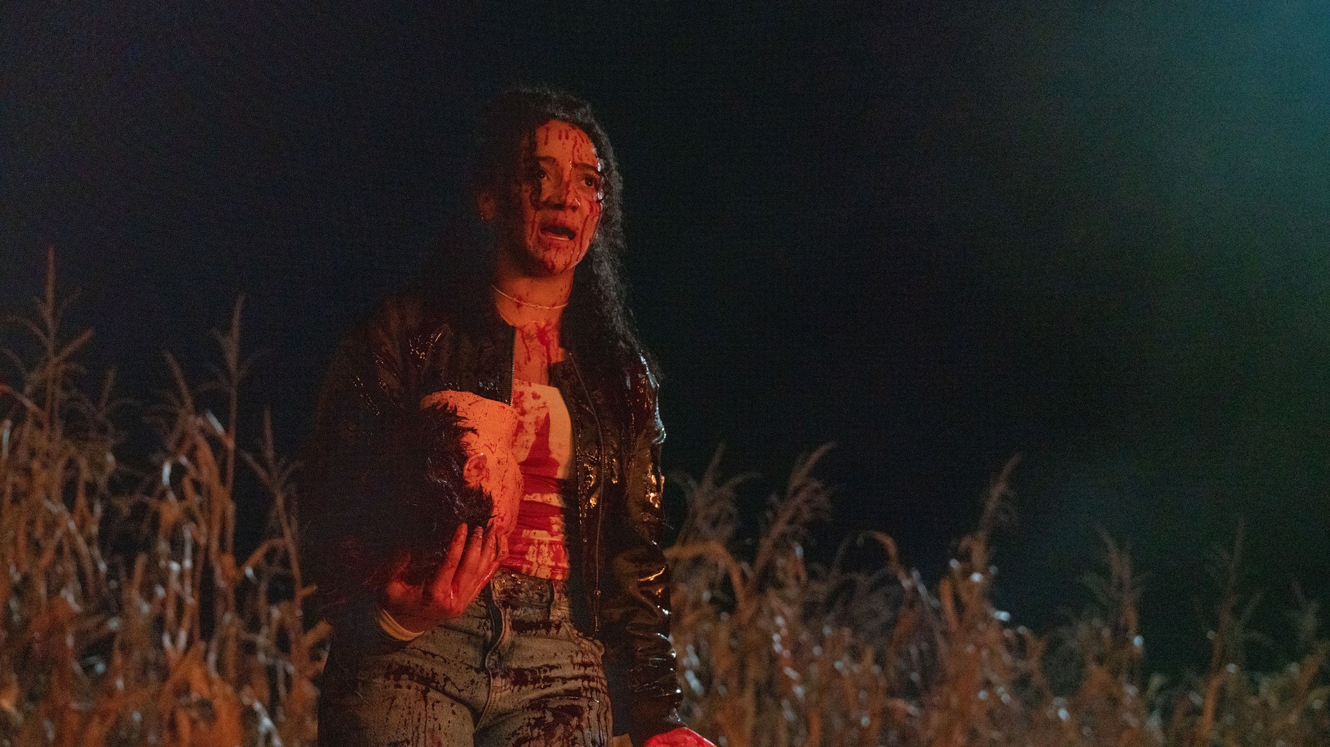 Bilder aus Clown in a Cornfield