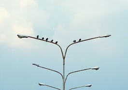 Polarisierung. Über Ordnung in der Politik