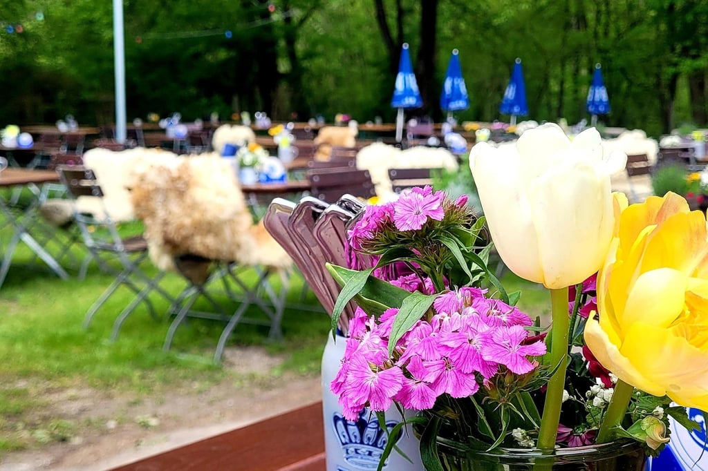 1. Mai München: Maifest und Maibaum Aufstellen bei der Giesinger Maibaumgaudi
