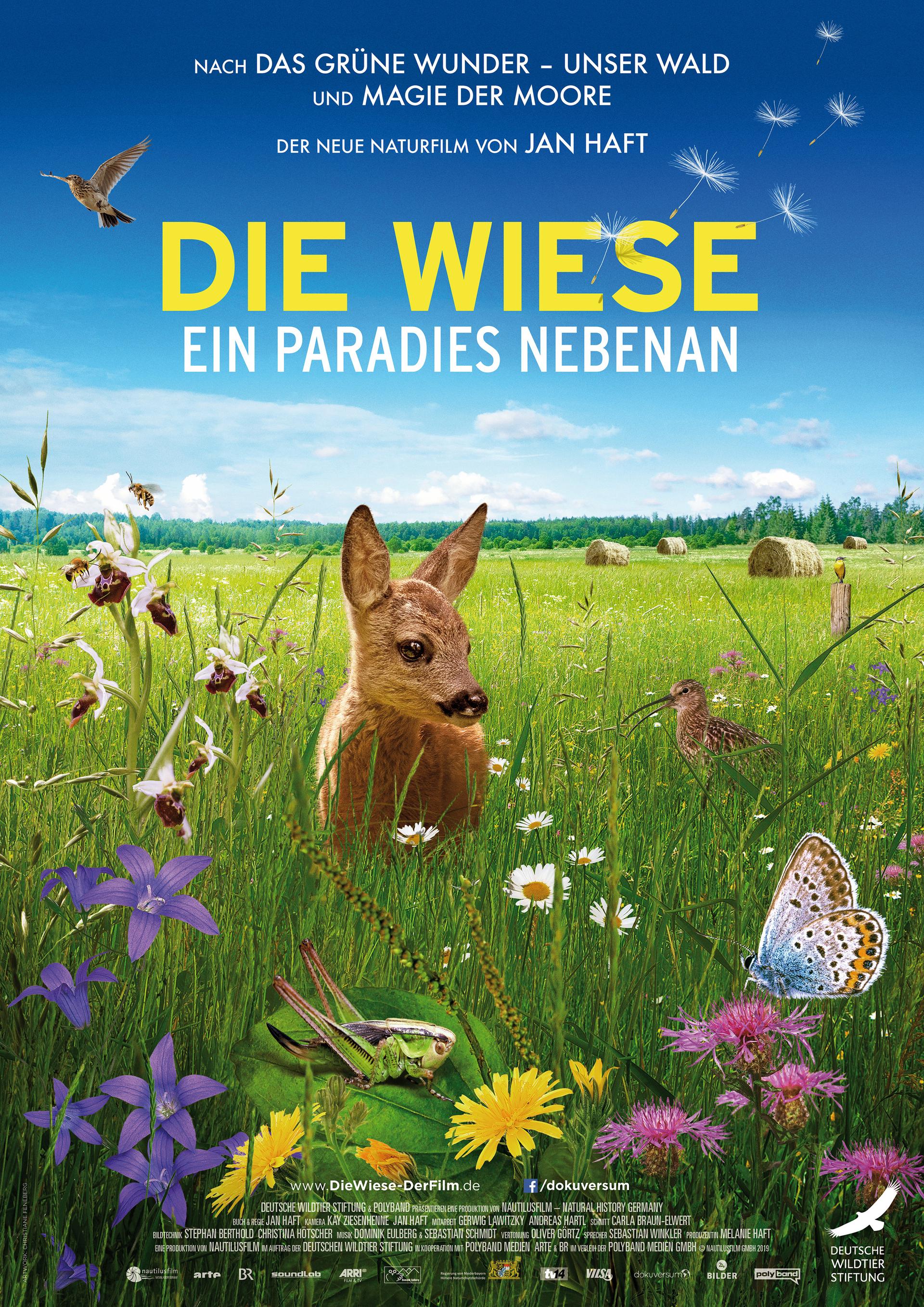 Die Wiese - Ein Paradies nebenan