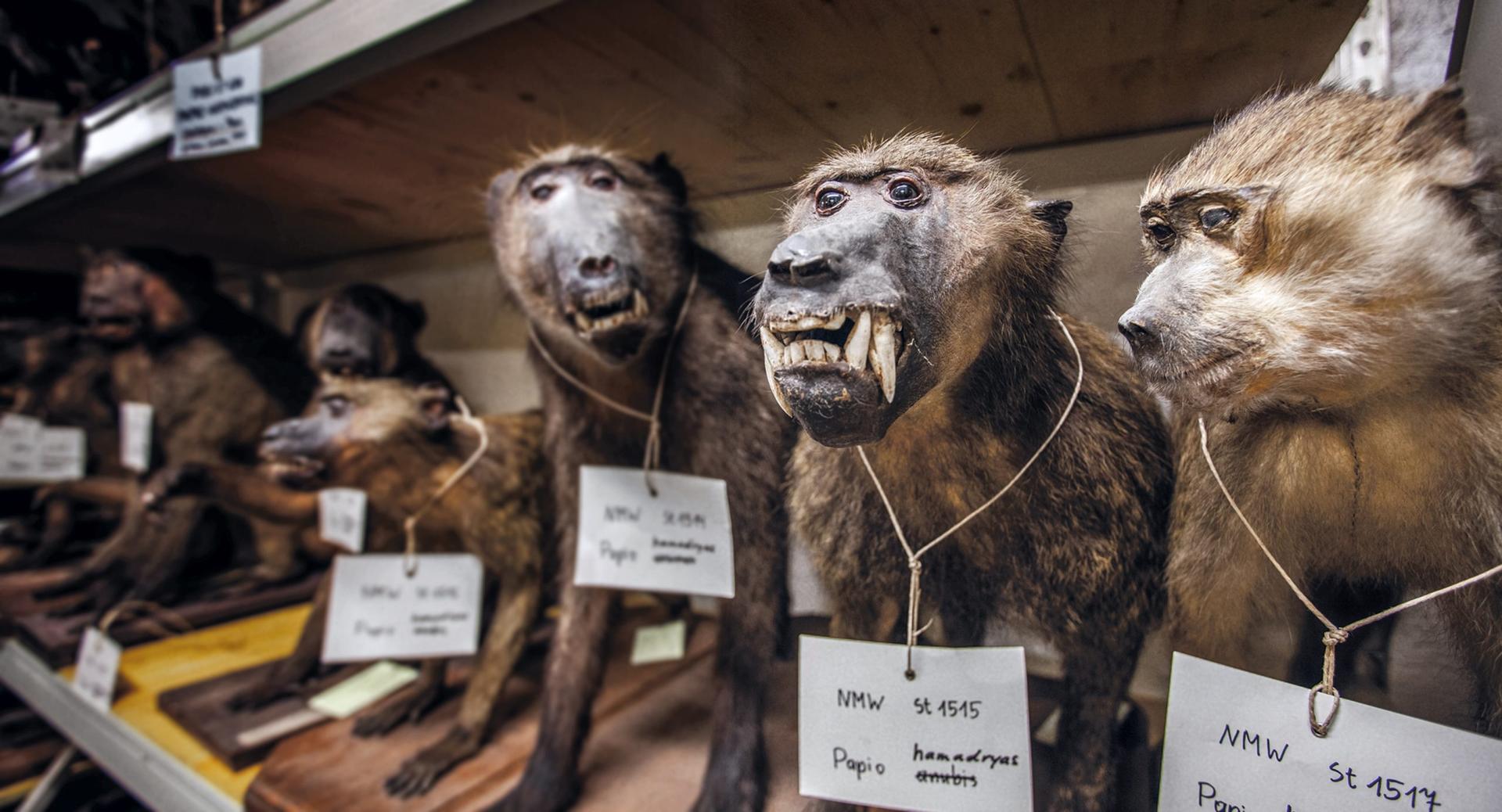 Bilder aus Archiv der Zukunft