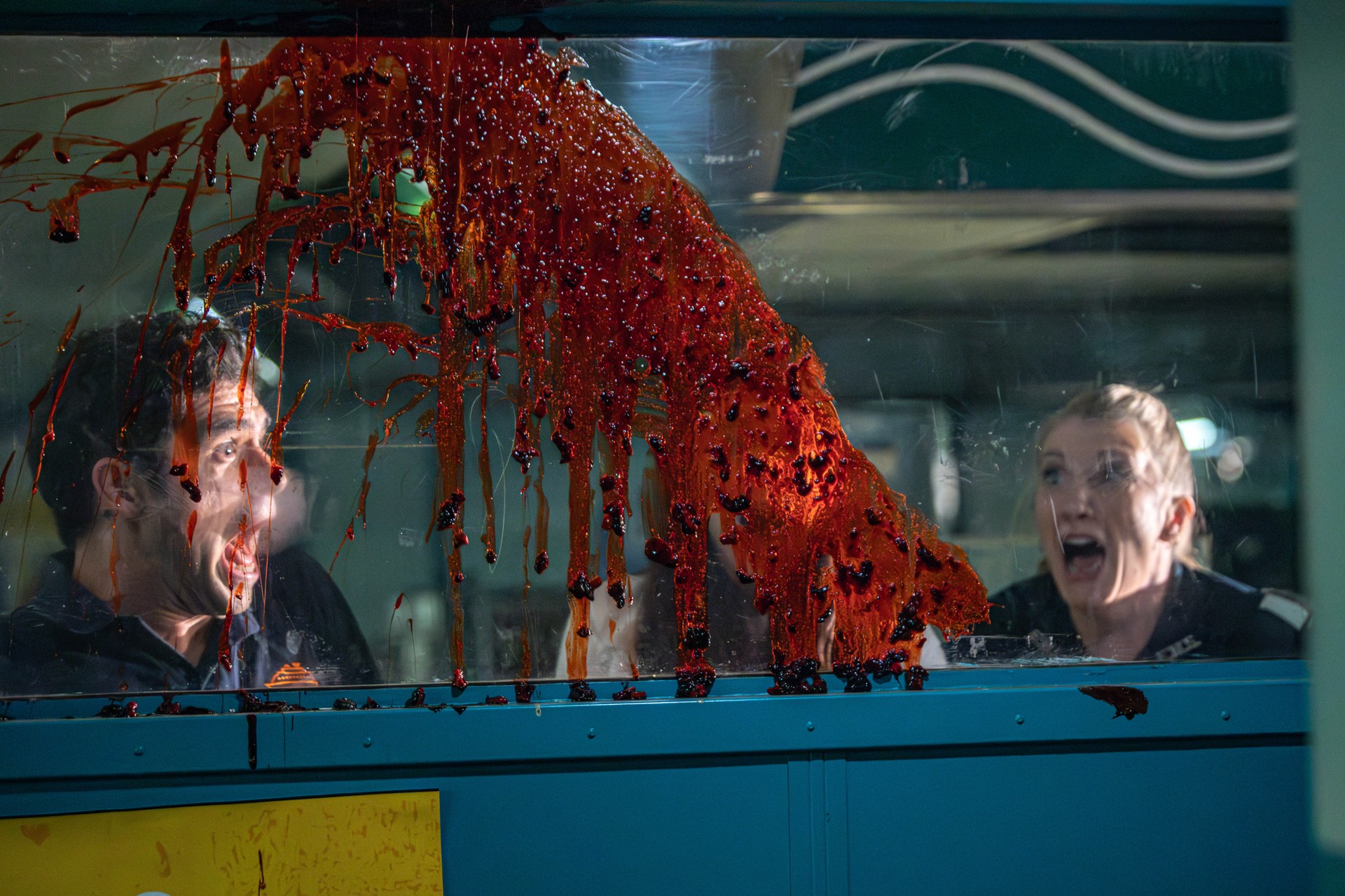 Bilder aus Screamboat