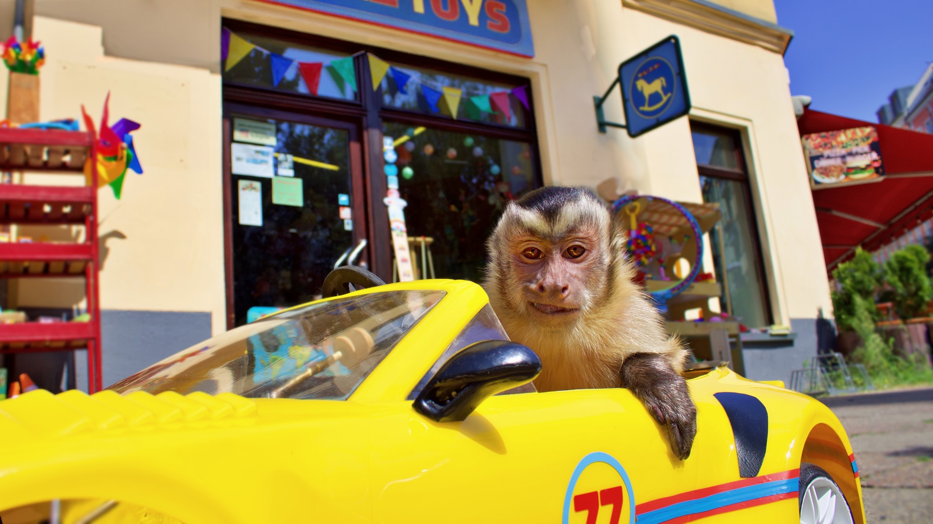 Bilder aus Akiko - Der fliegende Affe