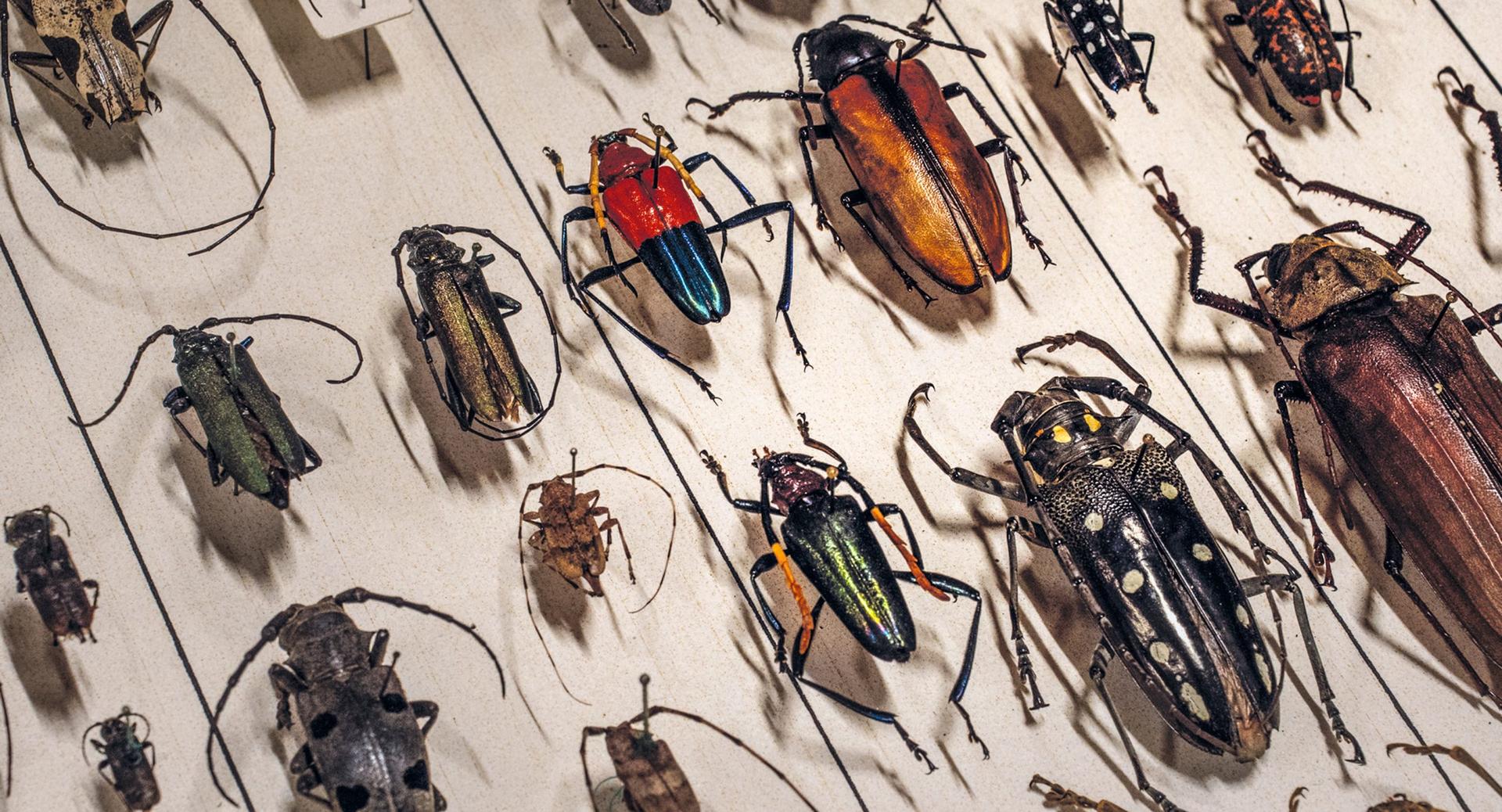 Bilder aus Archiv der Zukunft