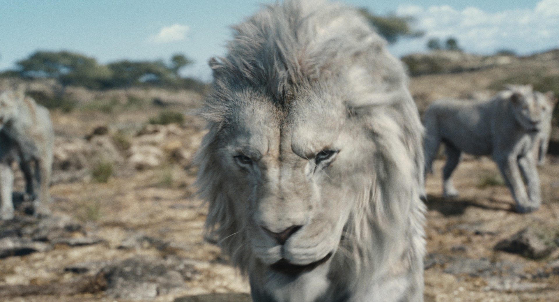 Bilder aus Mufasa: Der König der Löwen (ukrainische Fassung)