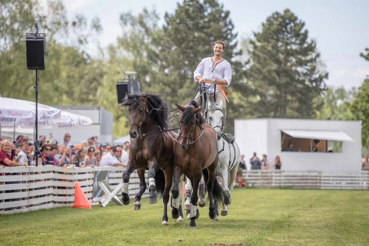 Pferd International
