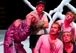 Der Besuch der alten Dame