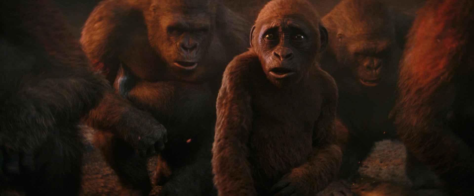 Bilder aus Godzilla x Kong: The New Empire