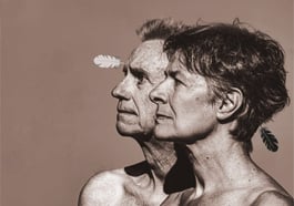 Faltsch Wagoni – Die letzten Ironesen