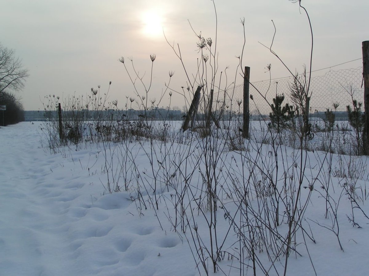 Im Winter Ruhe und Entspannung erleben