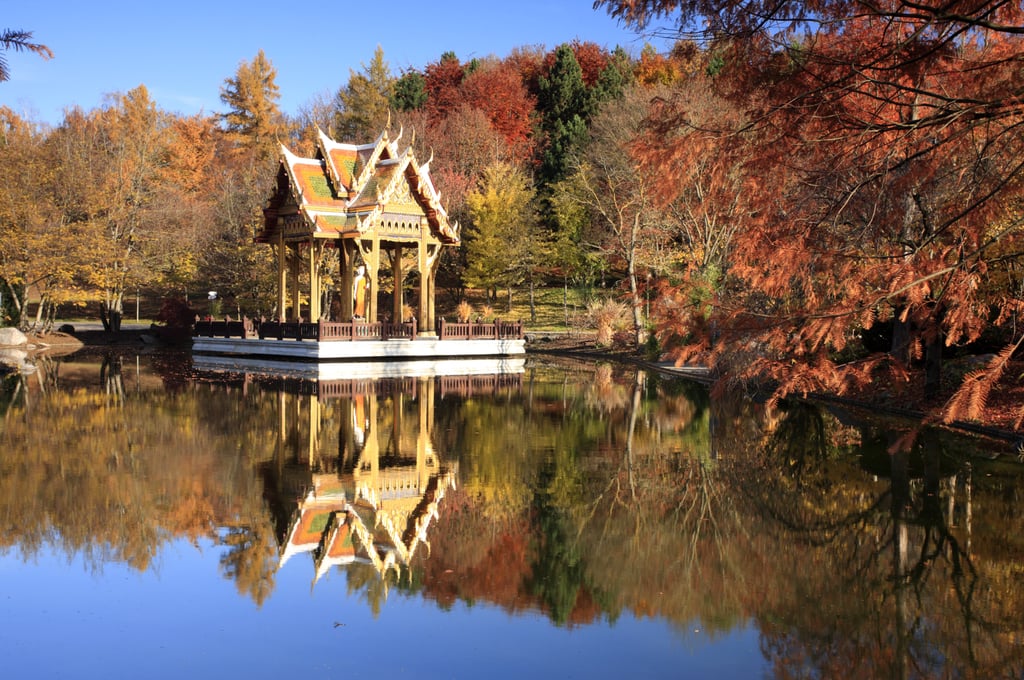 Colorful Asian pavilion on a calm lake, surrounded by autumn trees with orange, red, and yellow leaves, reflected in the water.